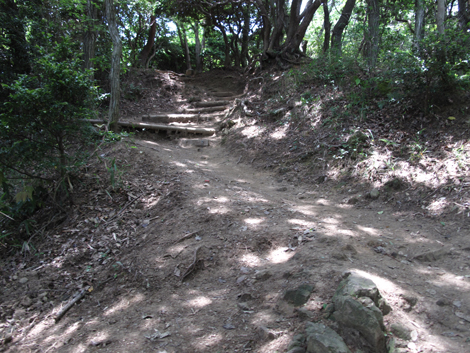 20140602hike (266)